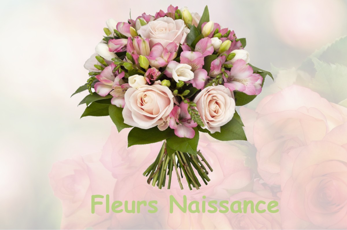 fleurs naissance EQUEVILLON