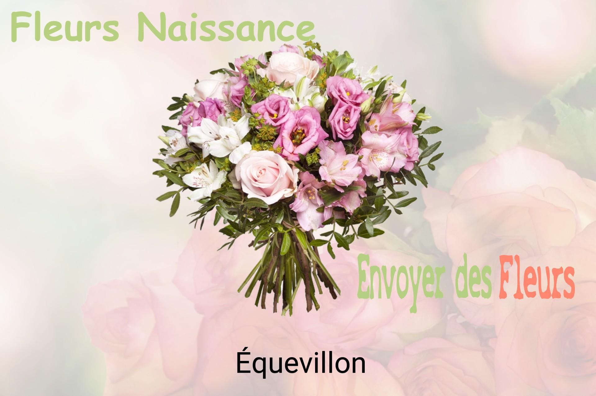 Bouquet de fleurs de naissance livré à Équevillon