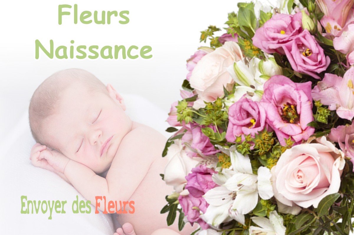 lIVRAISON FLEURS NAISSANCE à EQUEVILLON